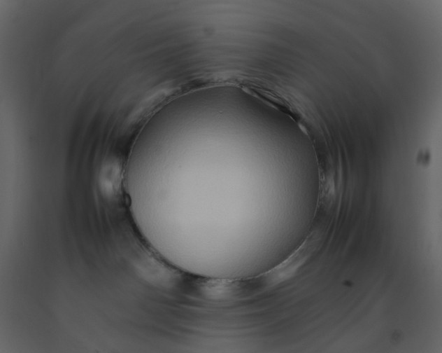 X0000092230142200710051226