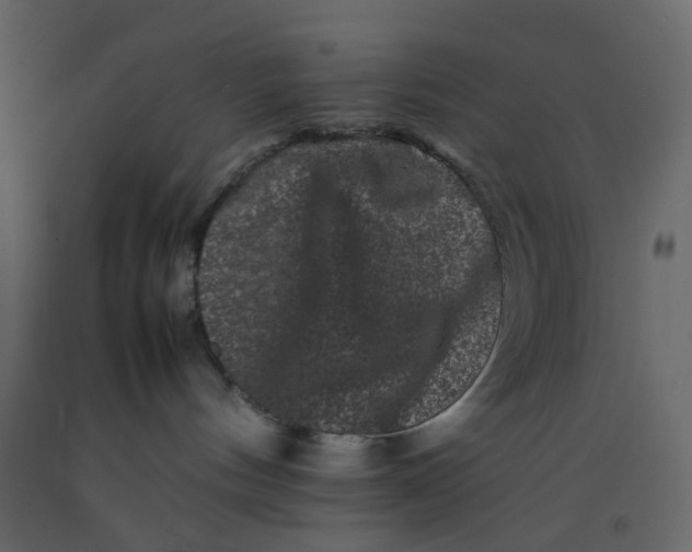 X0000092230144200710051226