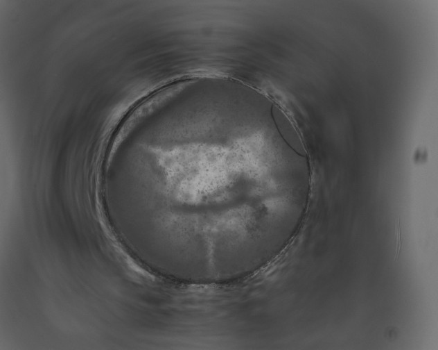 X0000092230145200710051225