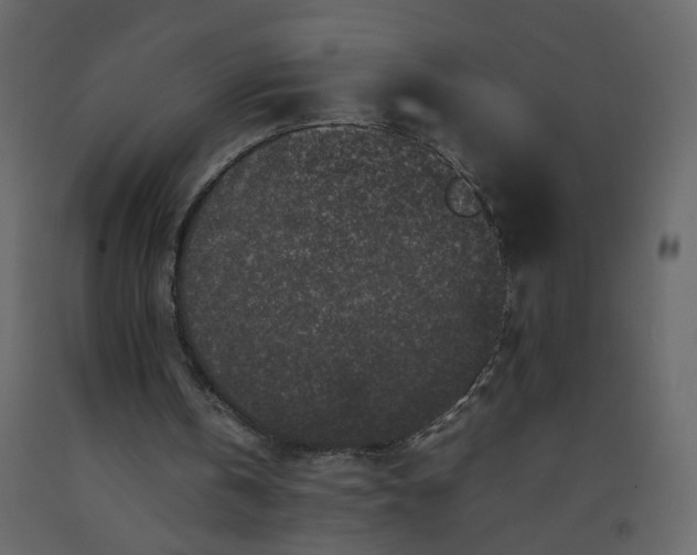 X0000092230146200710051225