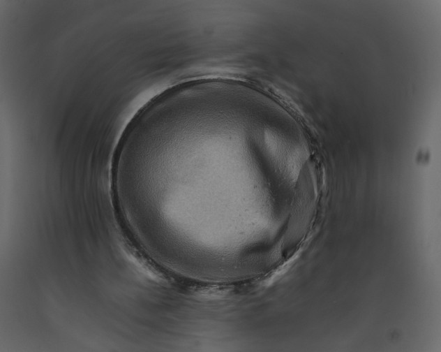 X0000092230148200710051225