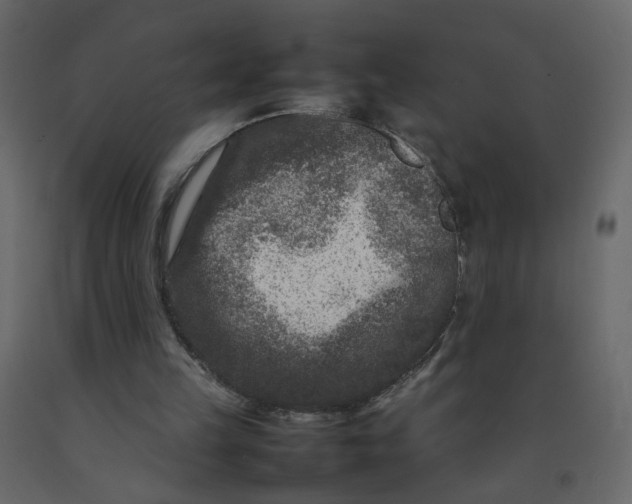 X0000092230149200710051225