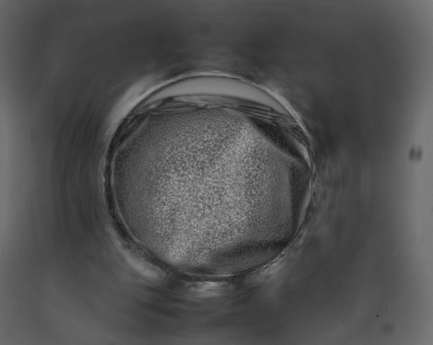 X0000092230151200710051225