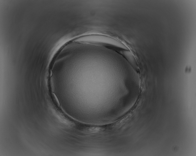 X0000092230152200710051225