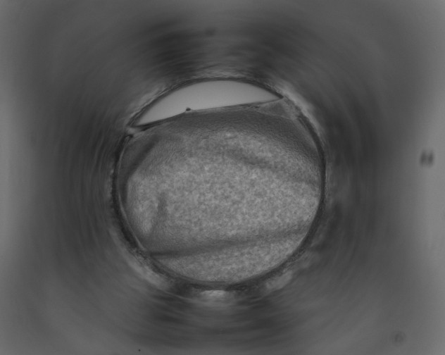 X0000092230153200710051225