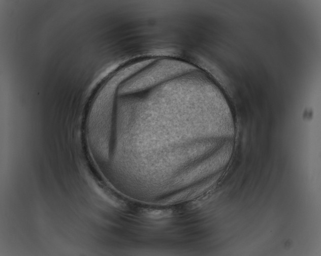 X0000092230155200710051225