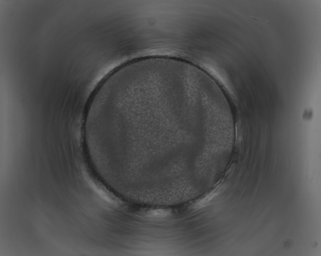 X0000092230156200710051225