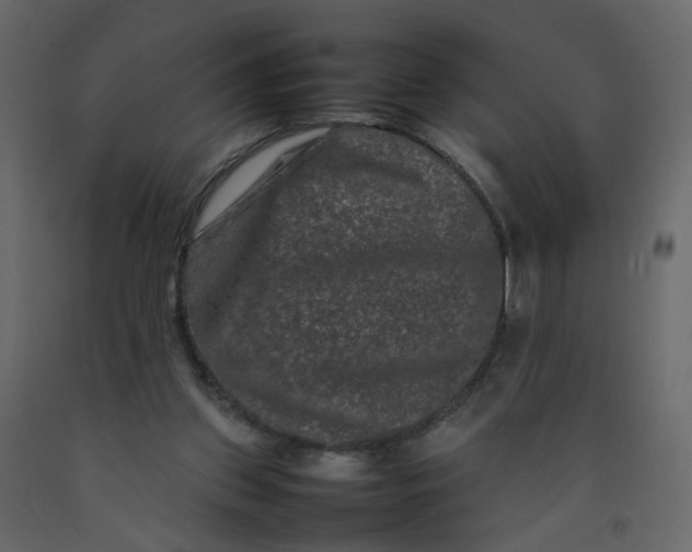 X0000092230157200710051225