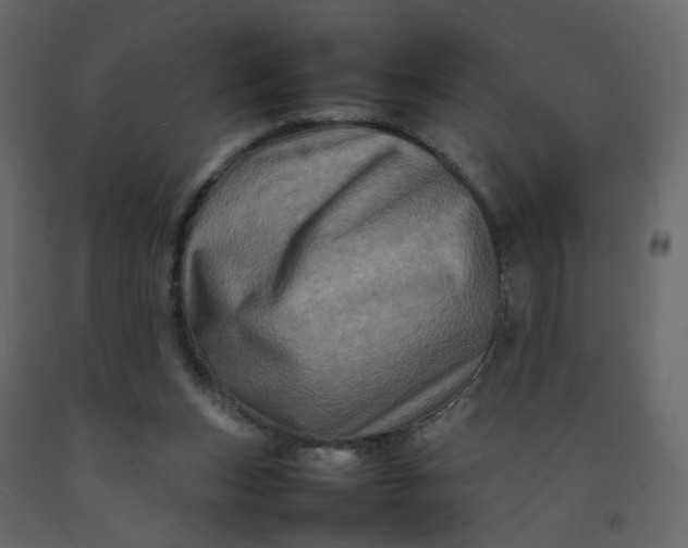 X0000092230159200710051225