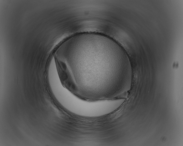 X0000092230160200710051225