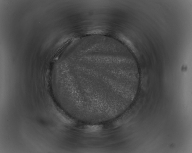 X0000092230161200710051225