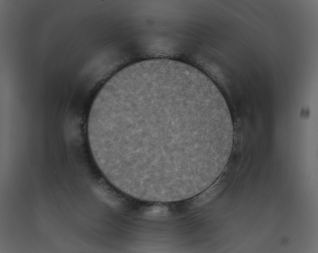 X0000092230162200710051225