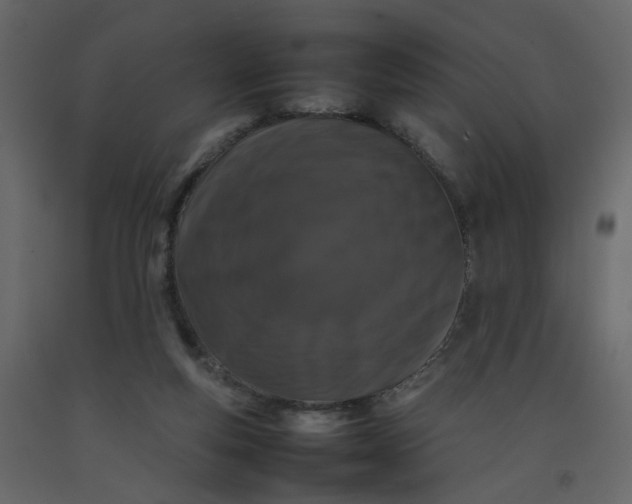 X0000092230163200710051225