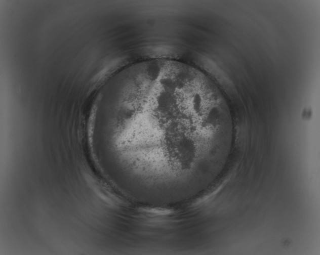 X0000092230165200710051226