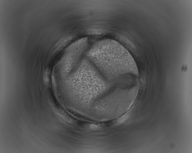 X0000092230166200710051226