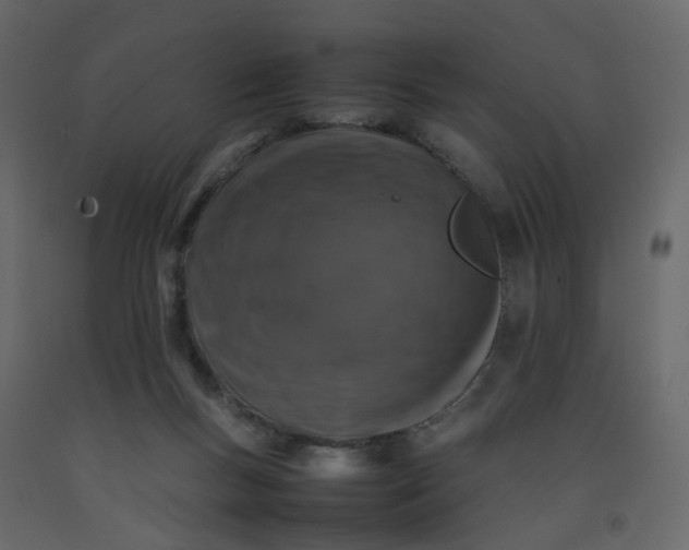 X0000092230167200710051226