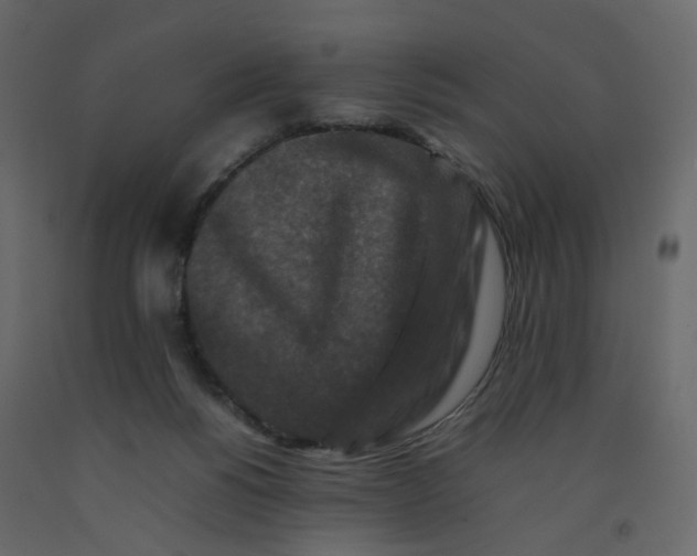 X0000092230168200710051226