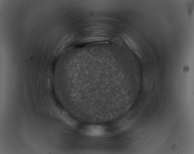 X0000092230169200710051226