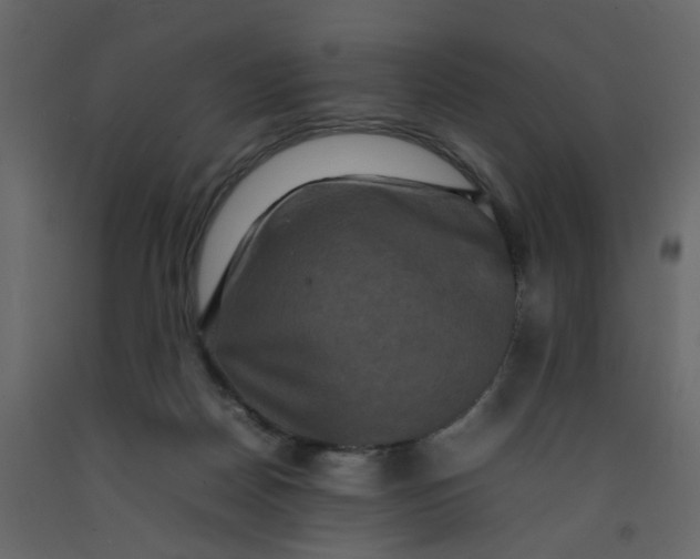 X0000092230170200710051226