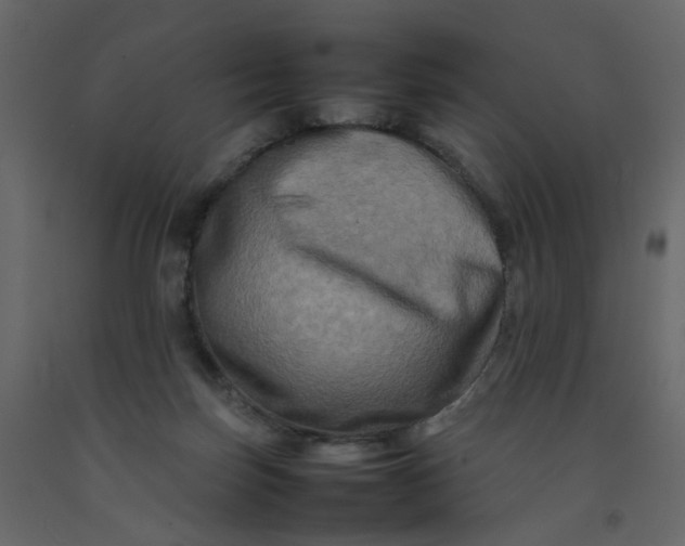 X0000092230171200710051226