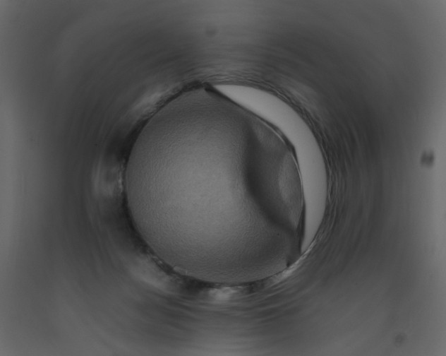 X0000092230172200710051226