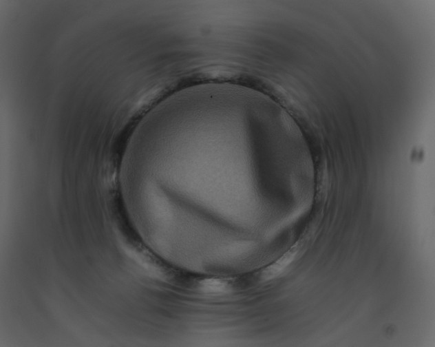 X0000092230176200710051226