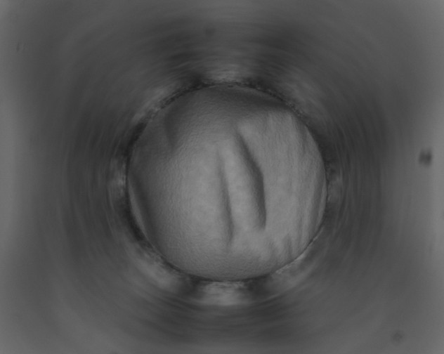 X0000092230179200710051226