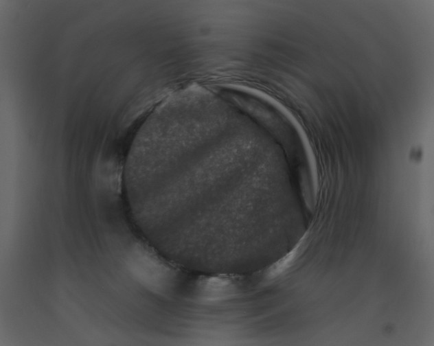 X0000092230180200710051226