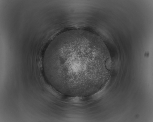 X0000092230182200710051226