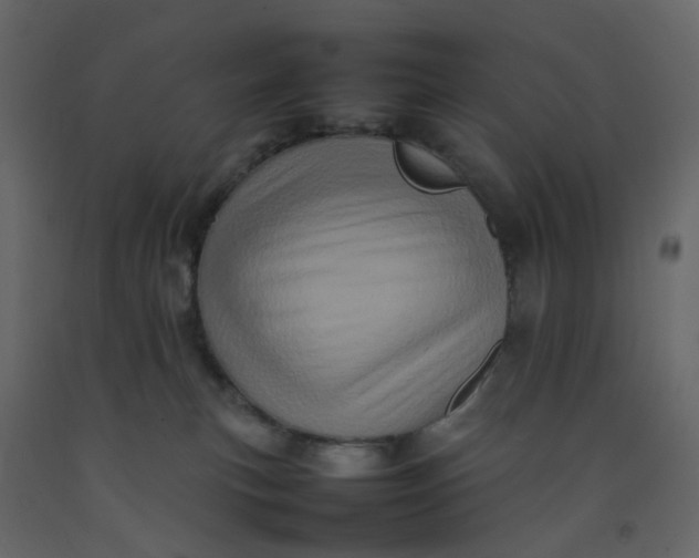 X0000092230183200710051226