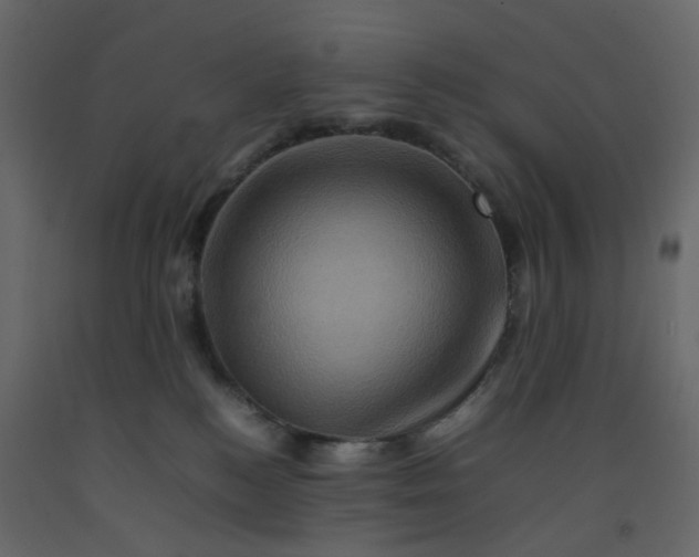 X0000092230184200710051226