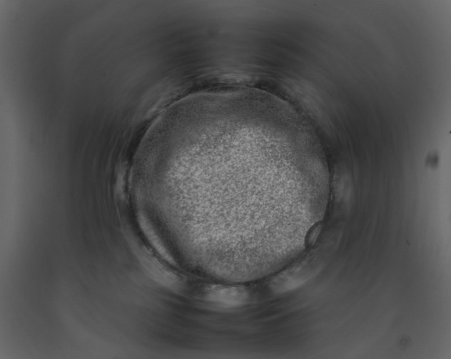 X0000092230185200710051226