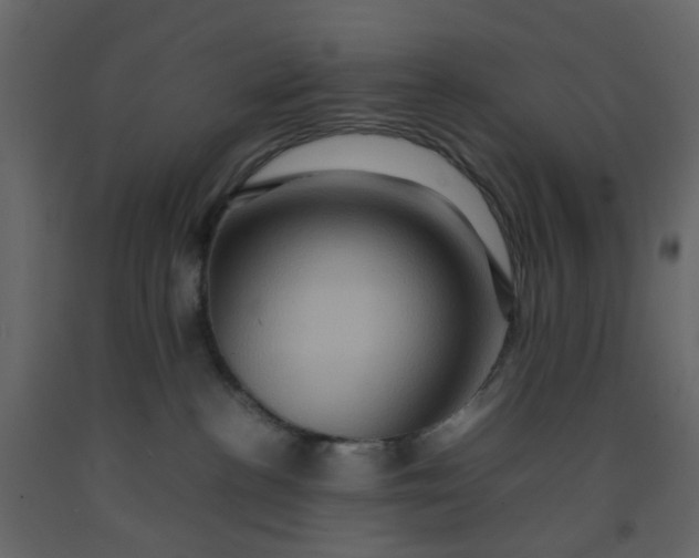 X0000092230188200710051226