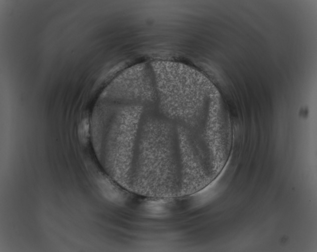 X0000092230190200710051226