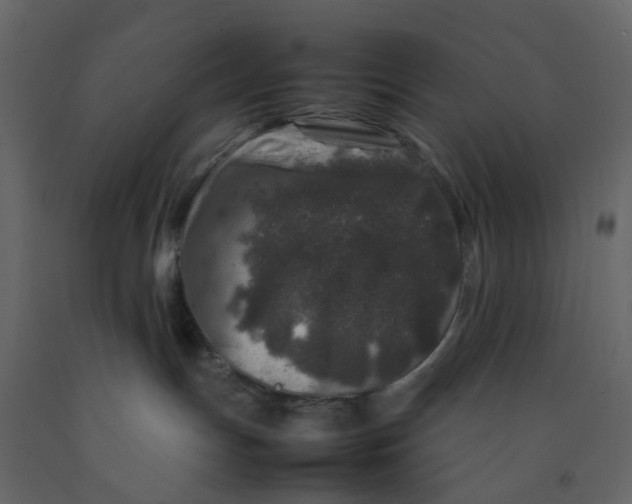 X0000092230191200710051226