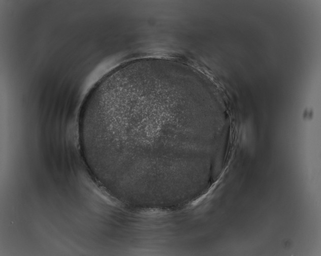 X0000092230198200710051225