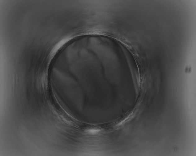 X0000092230200200710051225