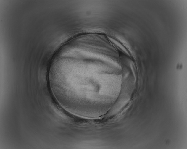 X0000092230201200710051225