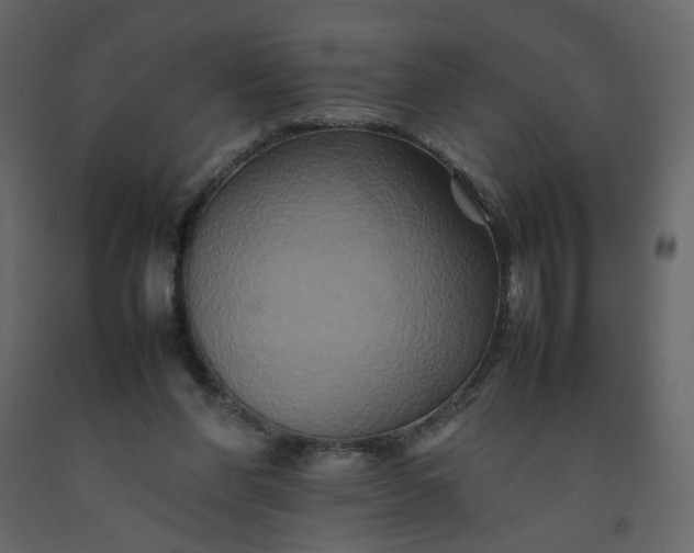 X0000092230206200710051225