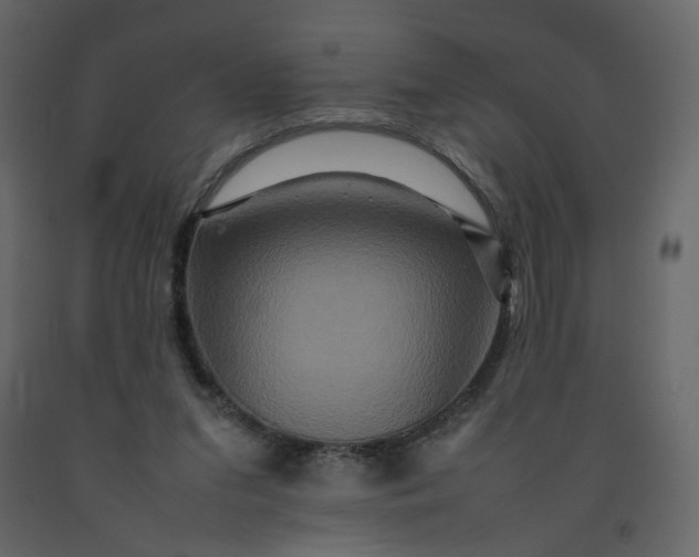 X0000092230207200710051225