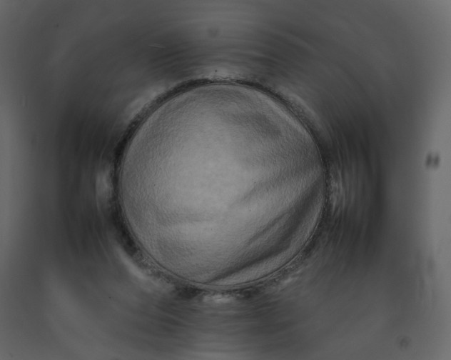 X0000092230208200710051225