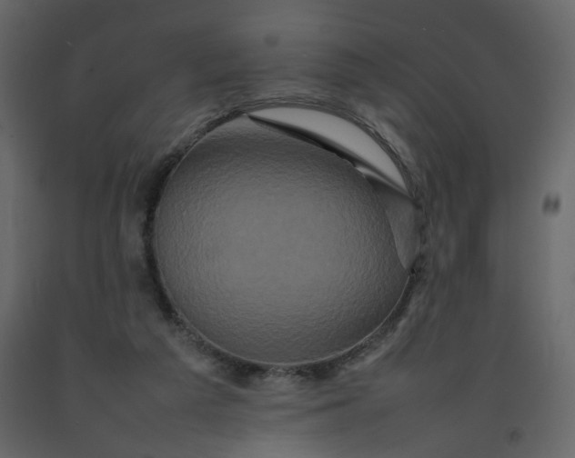 X0000092230209200710051225