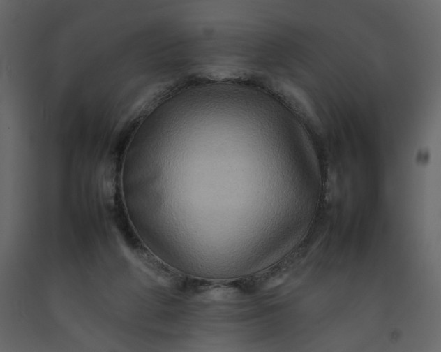 X0000092230210200710051225