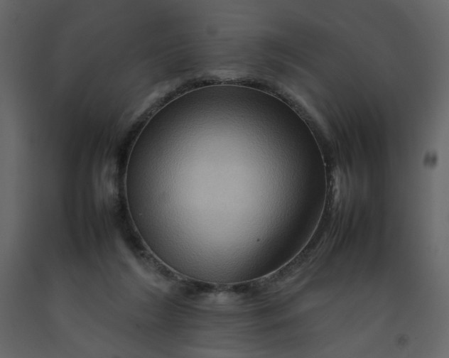 X0000092230212200710051225