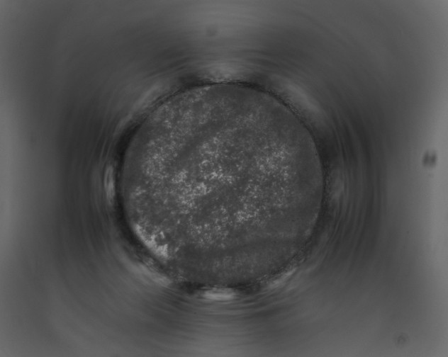 X0000092230214200710051225