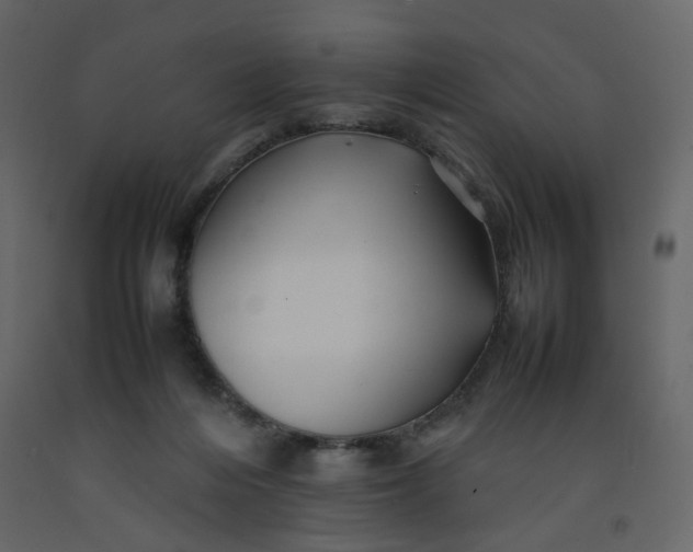 X0000092230216200710051225