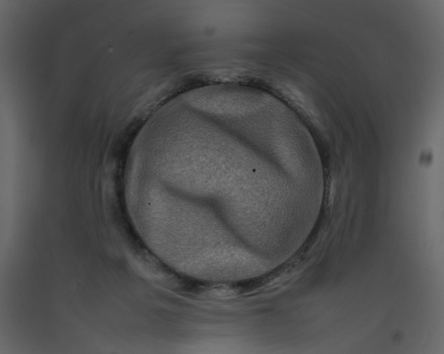 X0000092230217200710051225