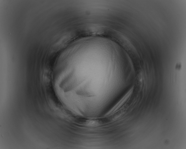 X0000092230218200710051225