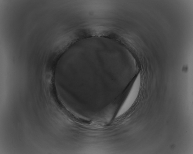 X0000092230219200710051225