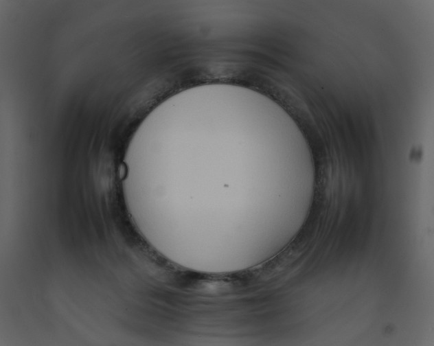 X0000092230220200710051225